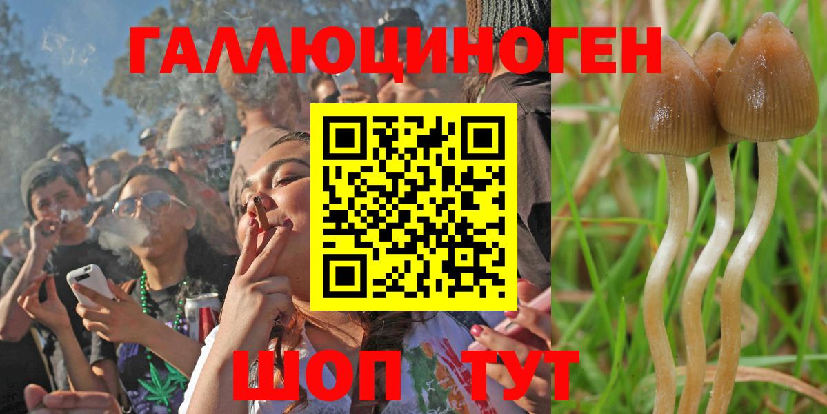 Псилоцибиновые грибы прущие грибы  Вход с VPN  Псилоцибиновые грибы Psilocybine cubensis  купить наркоту  Азов 